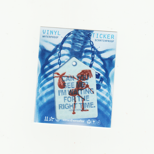 VINYL STICKER BAGS